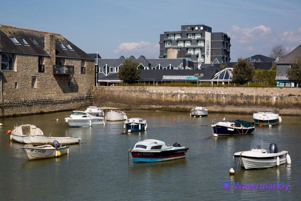 Carnac Tour: Megalithic Marvels and La Trinite Sur Mer - Experience Highlights