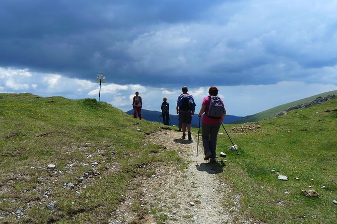 Carpathians in Romania: Bucegi Natural Park With Native Spanish Guide. - Navigating the Quiet Western Side