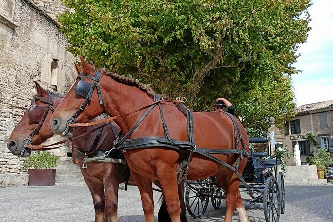 Carriage Rides in the Heart of the Luberon - Experience With Les Traits Du Lub