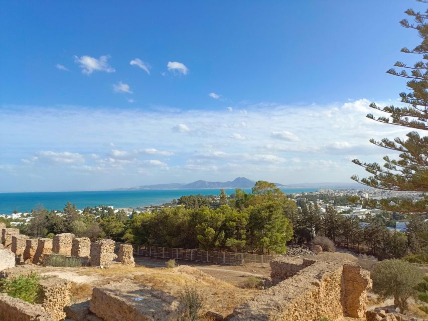 Carthage Archeological Site - Tour Experience