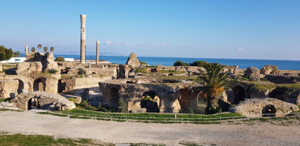 Carthage: Guided Bike Tour of the Archaeological Site - Experience Highlights