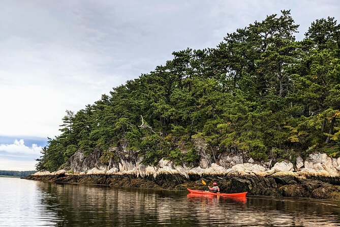 Casco Bay Half-Day Sea Kayak Tour - Exploring Casco Bay