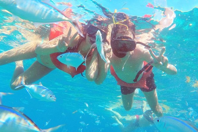 Catalina Island & Snorkeling Tour - Pickup Information