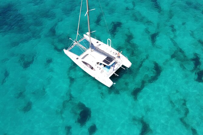Catamaran Half Day - Beautiful Day on the Atlantic Ocean - Customer Reviews and Experiences