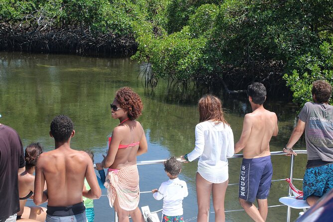 Cayo Arena Exclusive Tour With Lunch - Health Restrictions