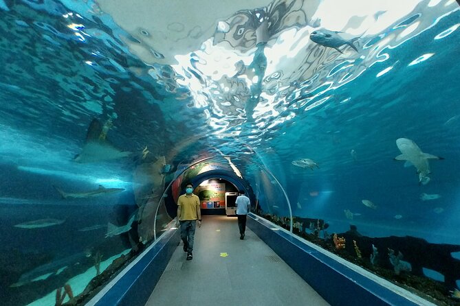 Cebu Ocean Park - Guided Tour Options