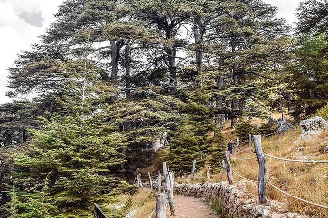 Cedars of Lebanon, Qozhaya, & Bcharre - With Lunch (4G on Board) - Exploring Qadisha Valley