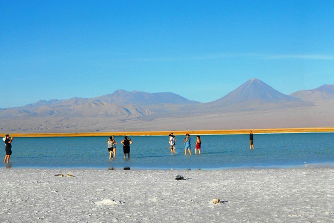 Cejar Lagoon, Tebinquiche Tour, and Ojos Del Salar From San Pedro De Atacama - Cejar Lagoon Specifics