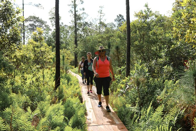 Central Florida Guided Nature Walk and Private Yoga Class - Hiking Details
