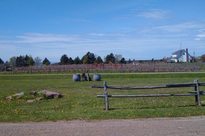 Central PEI Winery, Apiary and Mead Tasting Tour - Itinerary Highlights