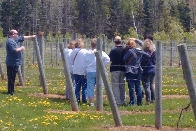 Central PEI Winery, Brewery, and Distillery Tasting Tour DE' Force - Taste the Local Terroir
