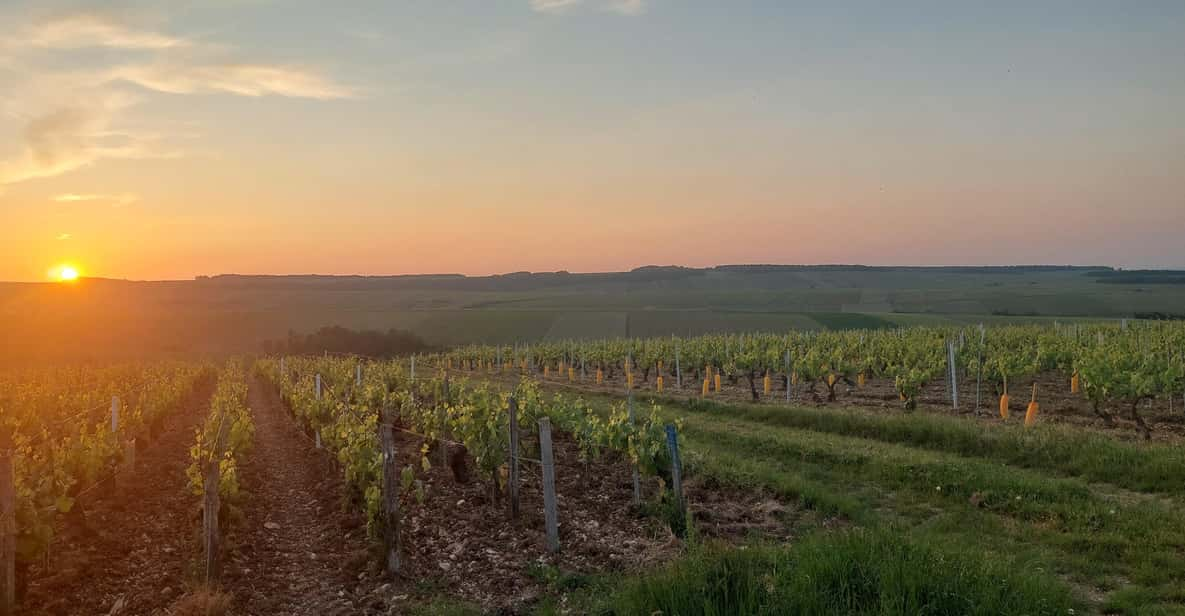 CHABLIS PRIVATE HALF DAY WINE TOUR - Booking Information