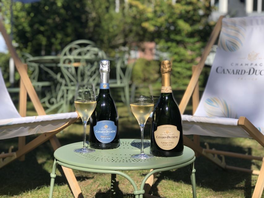 Champagne: Organic Champagne Tasting - Experience Highlights