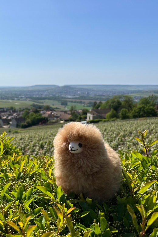 Champagne Private Day Trip: Epernay & Reims 9 Glasses - Itinerary Highlights