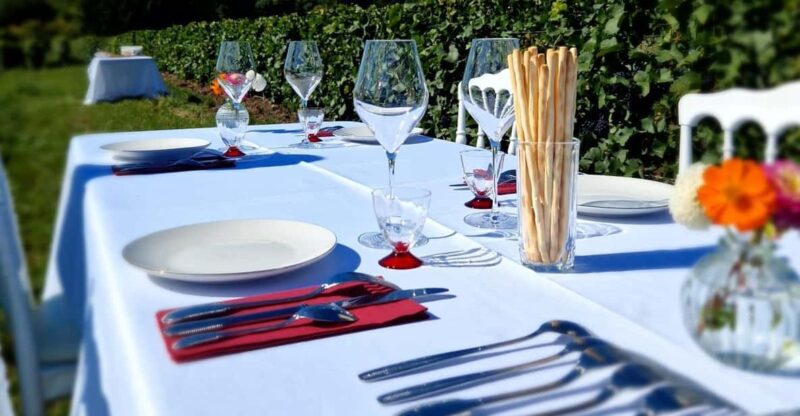 Champagne Vineyards Picnic - Pricing and Reservation