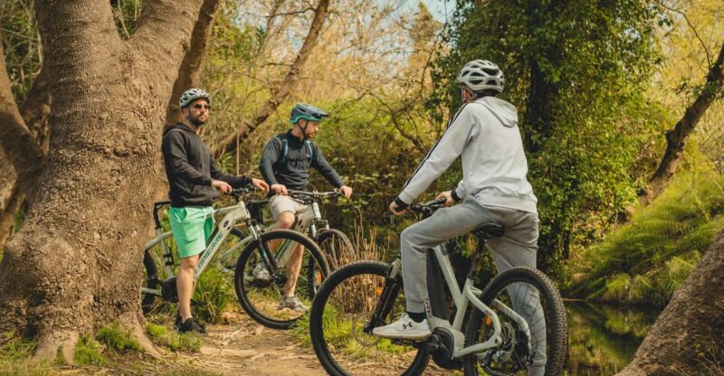 Chania: E-Bike Tour From Platanias-Agias Lake and Vatolakos - Good To Know