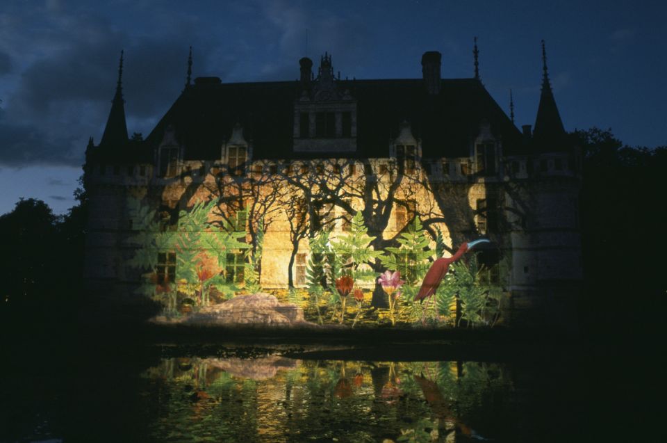 Château of Azay-Le-Rideau Entrance Ticket - Château Overview and History