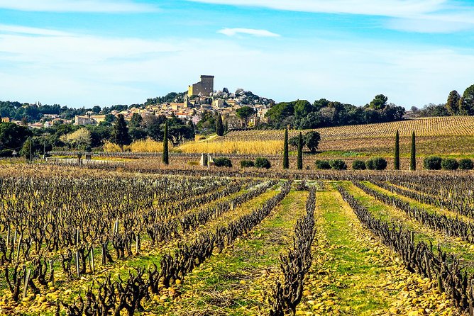Châteauneuf Du Pape Intensive Vineyard & Fine Wine Experience - Logistics and Details