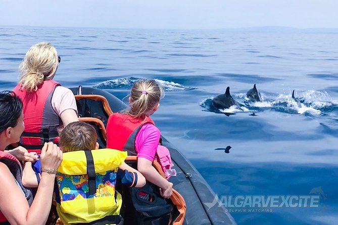 Cheapest Family Friendly Boat Trip From Vilamoura Algarve - Small Group Experience Details
