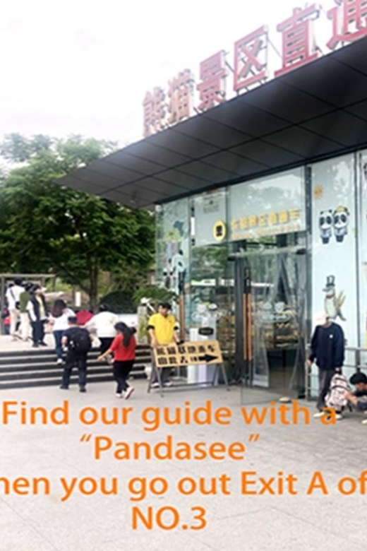 Chengdu Panda Base Half Day Tour - Pricing and Availability