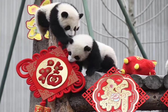 Chengdu Private Day Tour: Du Jiang Yan Panda Base and Qingcheng Mountain - Dujiangyan Panda Paradise