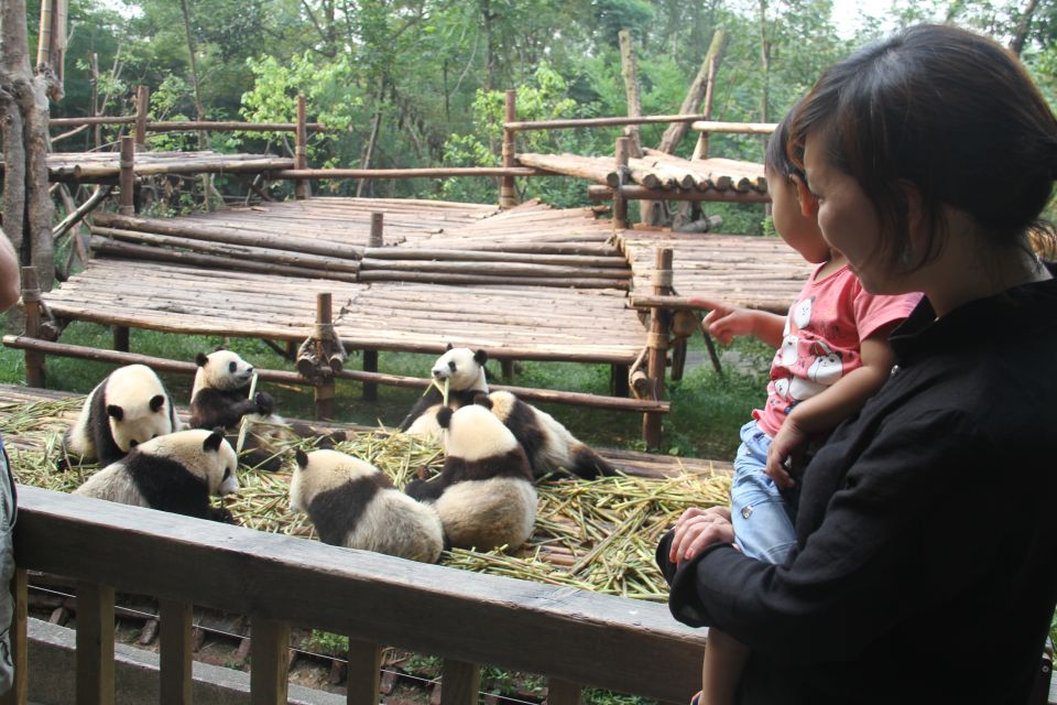 Chengdu: Private Panda Base Tour With 80 Pandas - Itinerary Highlights