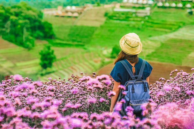 Chiang Mai Mon Jam Highlands and Pongyang Full-Day Private Tour - Included Amenities