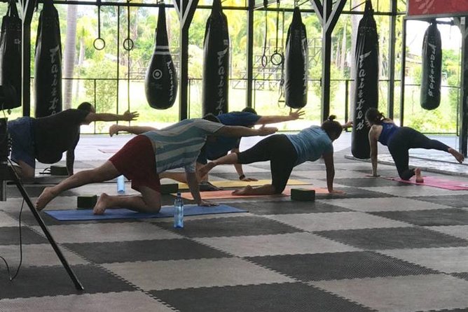 Chiang Mai Muay Thai Boxing Experience - Training Environment and Location