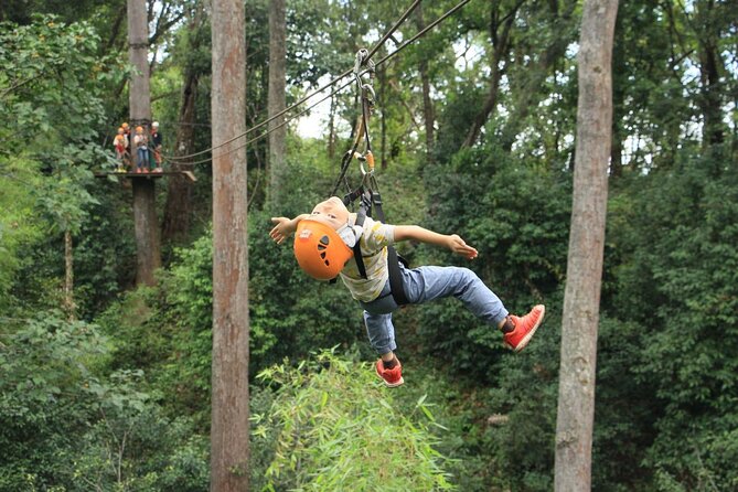 Chiang Mai Zip Line Experience - Inclusions and Amenities