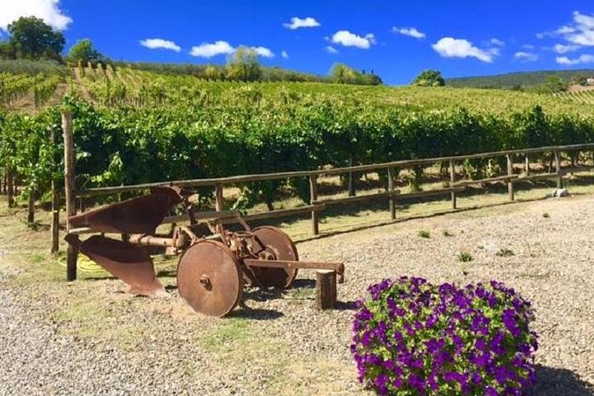 Chianti Wine and Vinci Half Day Small Group Tour From Lucca - Inclusions