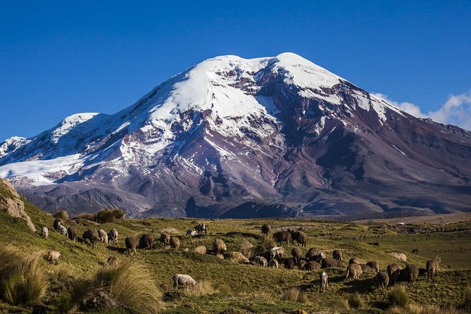 Chimborazo Tour From Quito: Hiking and Ascent to Condor Cocha All Included - Physical Requirements