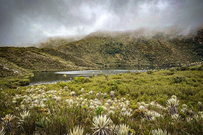 Chingaza National Park Hiking Private Tour (8 Hrs.) - Pickup and Confirmation Details