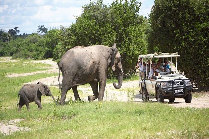 Chobe Day Trip To Botswana From Livingstone - Included in the Trip
