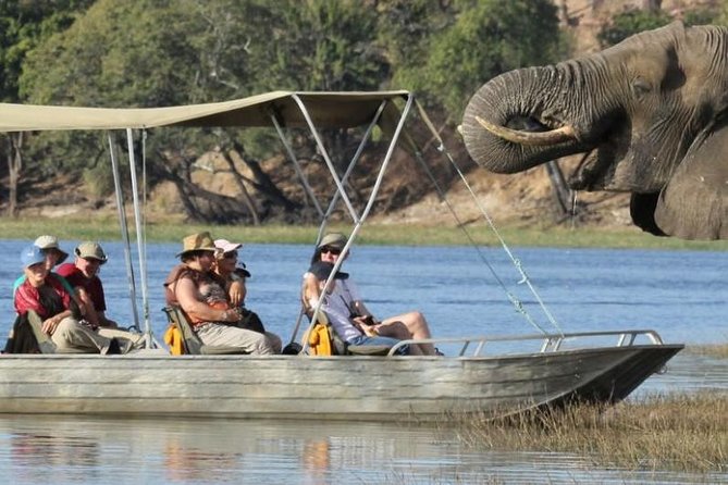 Chobe Extended Day Trip From Victoria Falls - Zimbabwe - Wildlife Viewing Opportunities
