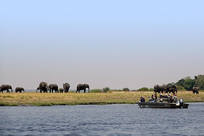 Chobe Full Day Trip From Victoria Falls - Wildlife and Scenic Highlights