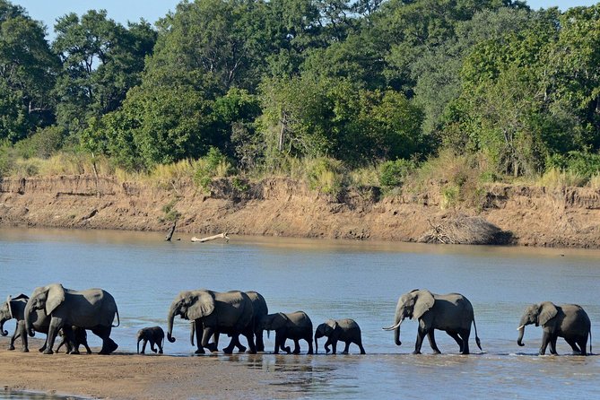 Chobe Full Day Trip - Wildlife Highlights