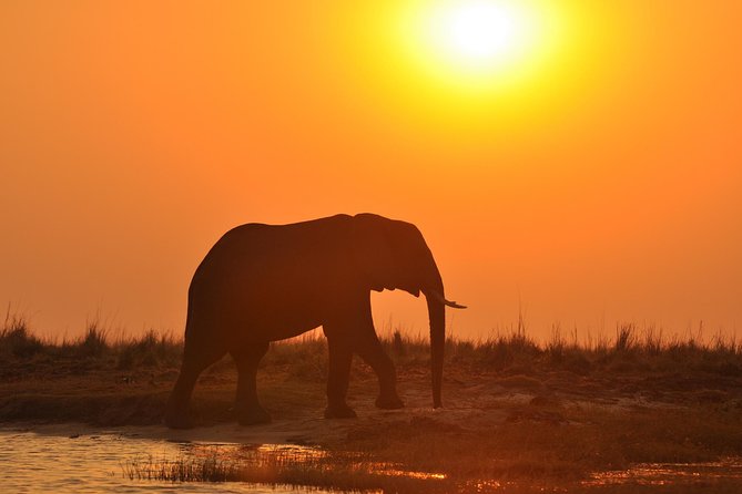 Chobe National Park Game Drive, Botswana - Game Drive Inclusions