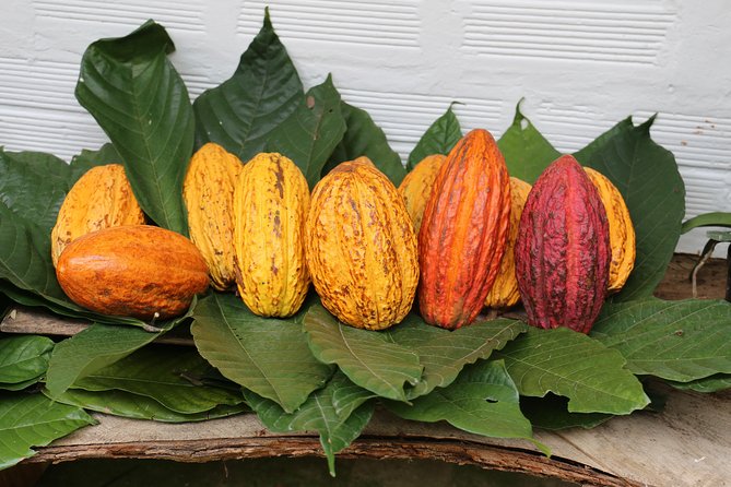 Chocolate & Coffee Farm Experience - Inclusions