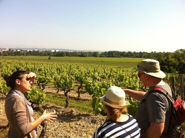 Cité De Carcassonne and Wine Tasting Private Day Tour From Toulouse - Departure Time and Pick-up Options