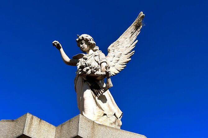 City of Angels: Walking Tour Recoleta - Skip the Line - Strolling Through Recoletas Lush Gardens
