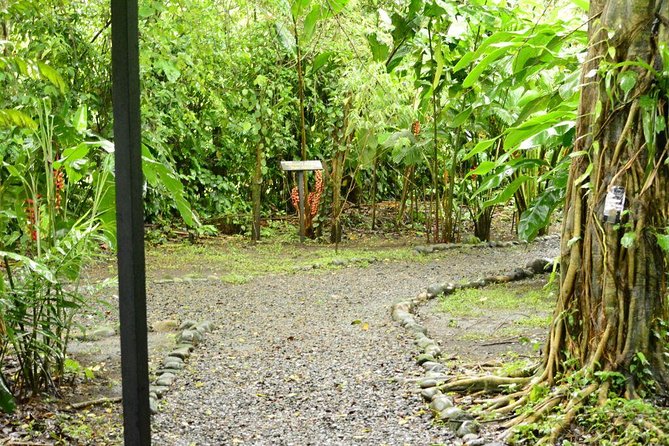 Class II-III Rafting and Chocolate Tour From La Fortuna - Chocolate-Making Demonstration