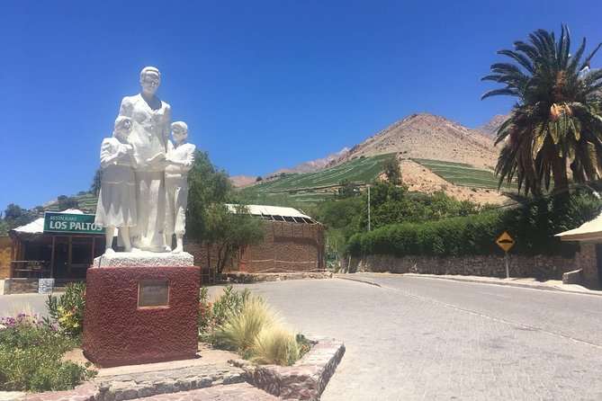 Classic Elqui Valley (Between Vineyards and Fruit Trees) - Discovering Pisco Elqui