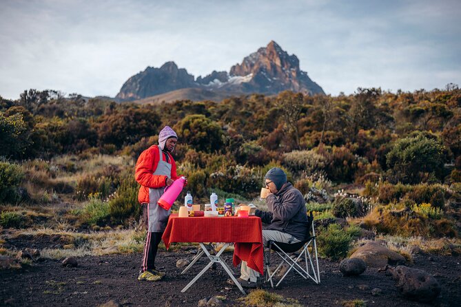 Climbing Kilimanjaro Through 7 Days Machame Route - Guide Qualifications and Experience