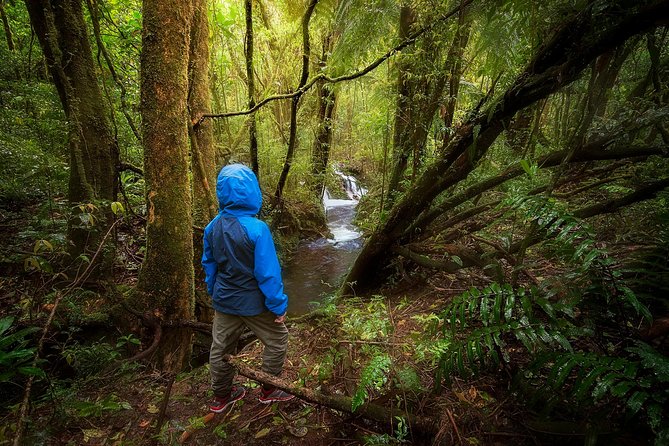 Cloud Forest Hike at Juan Castro Blanco National Park - Navigating the 3-Mile Trail