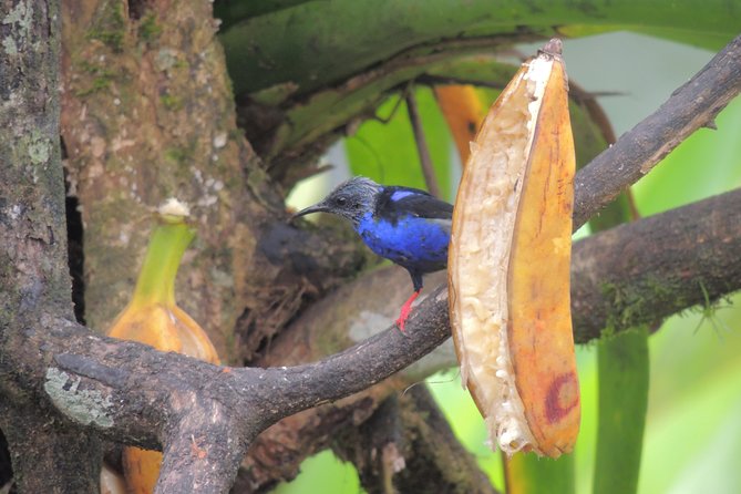 Cloud Forest Hike - Water National Park: Juan Castro Blanco National Park - Accessibility and Convenience