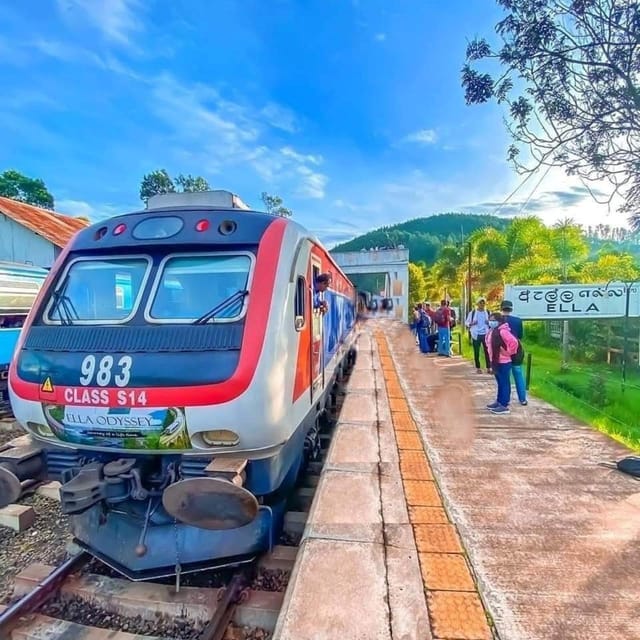 Coast to Culture 3 Days Galle/Mirissa to Ella,Kandy,Sigiriya - Accommodation and Transportation