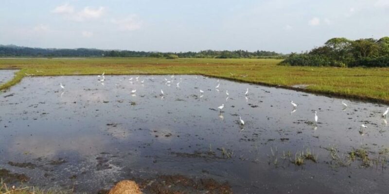 Coastal Village Cycling Expedition in Galle - Pickup