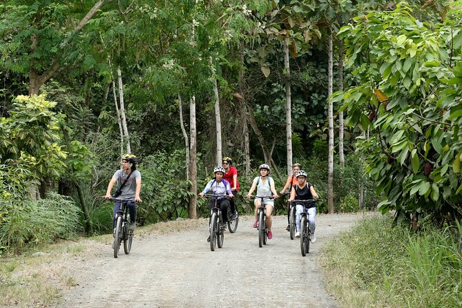 Cocoa Biking Tour - Inclusions and Whats Included