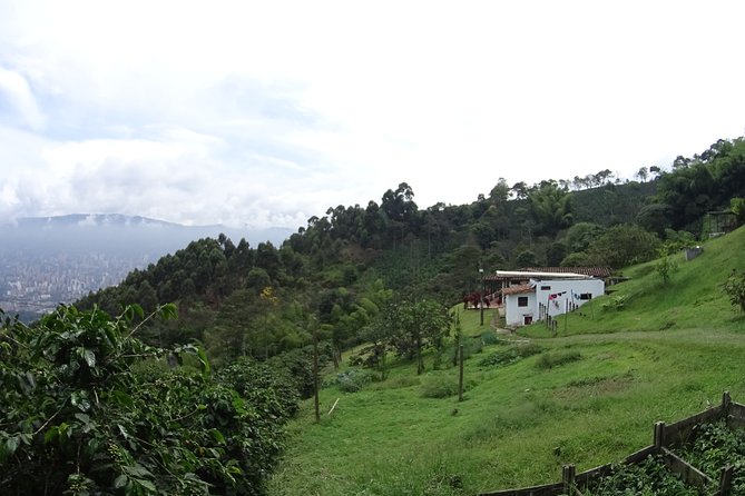 Coffee Experience - Coffee Tour in Medellin - Specialty Coffee Tasting and Filtering