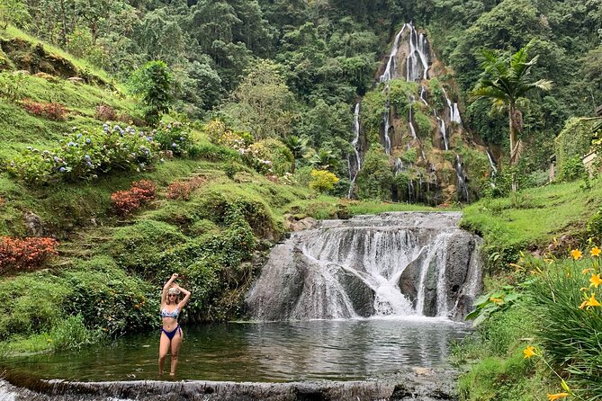 Coffee Farm and Santa Rosa Hot Springs Tour From Pereira or Armenia - Coffee Farm Experience